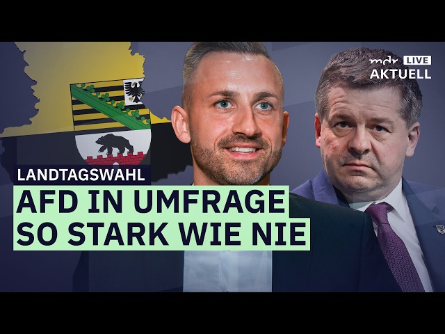 Neue Umfrage in Sachsen-Anhalt: AfD von Siegmund bei über 40 Prozent | MDR AKTUELL live