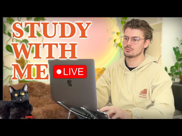 Study With Me LIVE 🚀 10-HOURS — Deep Focus (50/10 Pomodoro) | Cozy UK Rain, No Distractions!