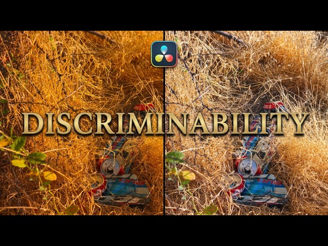 Resolve 21 Photo Editing: Image Discriminability