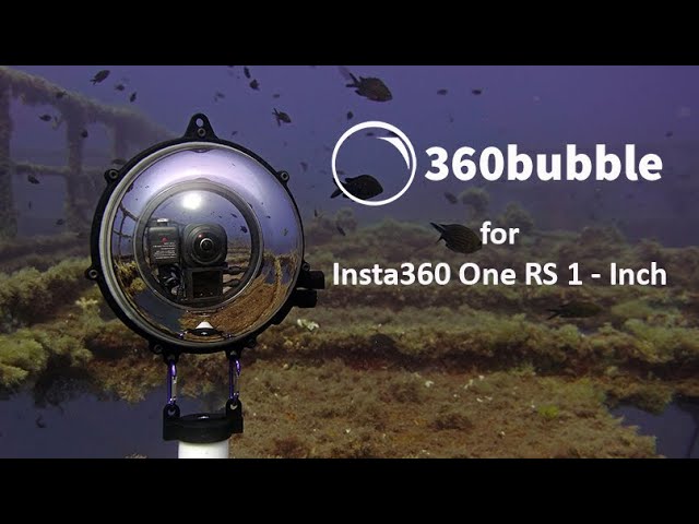 Insta360 One RS 1 - Inch underwater - The Sanctuary - with 360bubble Housing