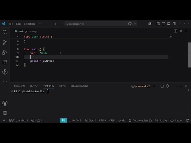 Fix Go Nil Pointer Dereference Panic in 60s! 🤯 #shorts