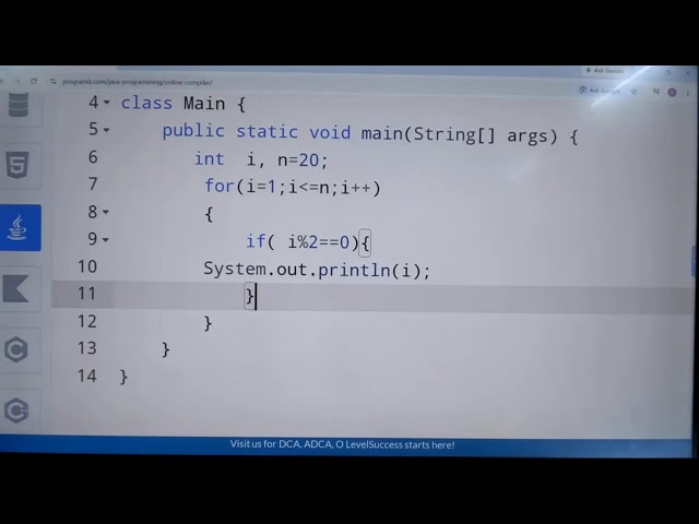 Java programming loops
