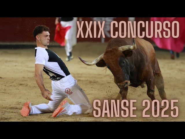 4K // XXIX BRAVE BULL CUTTING COMPETITION SAN SEBASTIAN DE LOS REYES 2025 (MADRID)