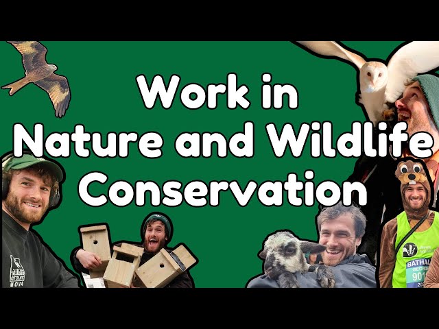 How to get a job in Wildlife & Nature Conservation - Volunteering, Tips, Advice, Q&A