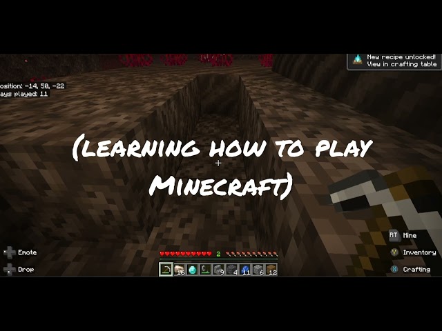 Playing Minecraft Survival with KidPlayz10