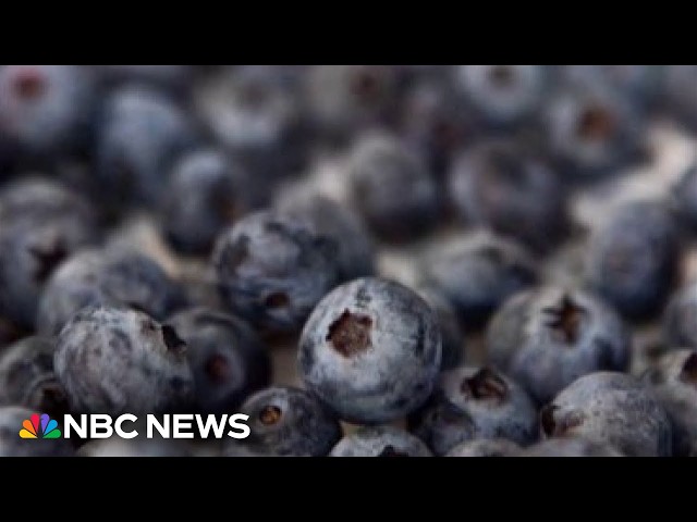 FDA upgrades frozen berry recall to highest risk level