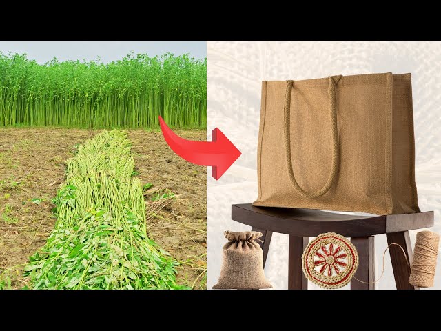 Amazing Process of Eco-Friendly Natural Jute Fabric Production