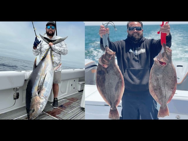 August 20 Cape Cod Fishing Report Beyond Bass Fishing with MFCC Member Bruno Demir