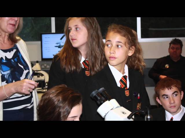 STEM Bus - Microscopy