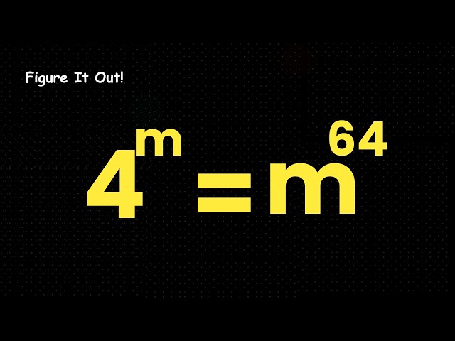 Even My Calculator Gave Up… Seriously?!
