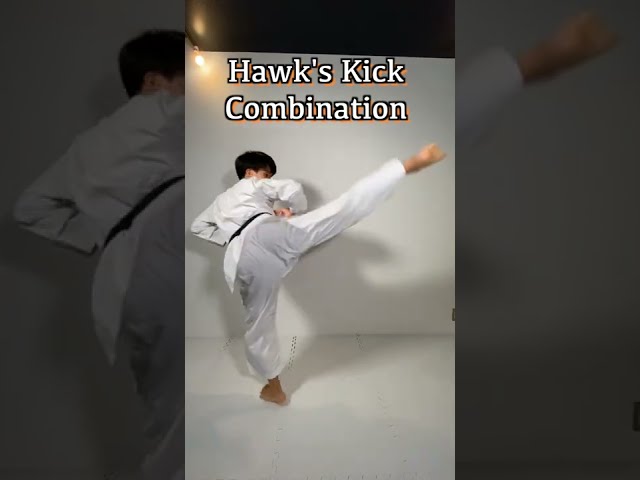 Hawk's Kick Combination Tutorial｜Cobra Kai
