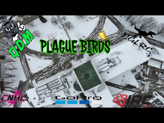 Team PLAGUE BIRDS : #TESTING News Spot #HGRLC @kvnfpv
