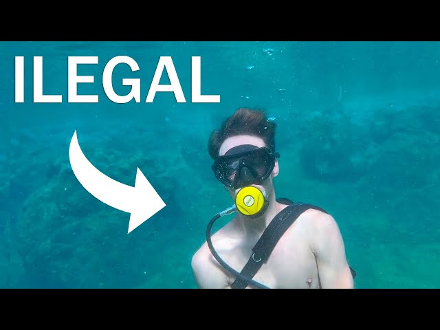 Testing the CHEAPEST DIVING KIT on the internet 🤿