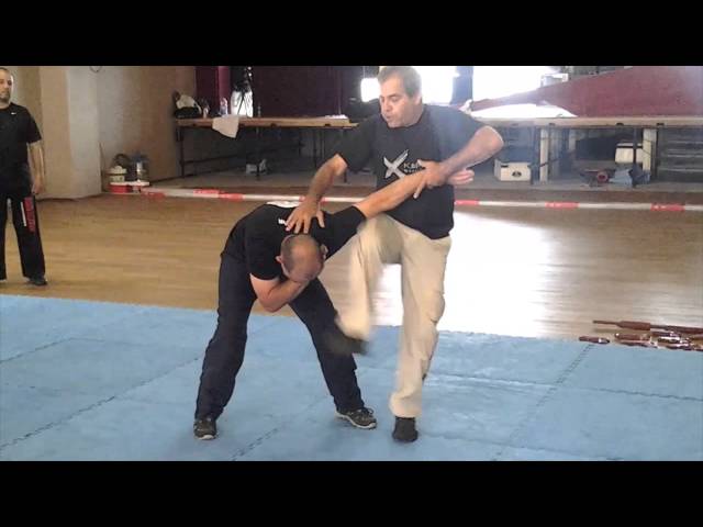 KAPAP ISRAEL - Leg flip
