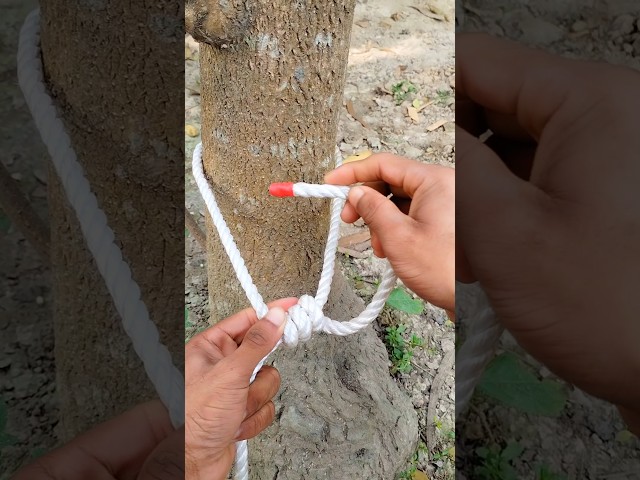 A Practical Knot for Daily Life #ropeknots