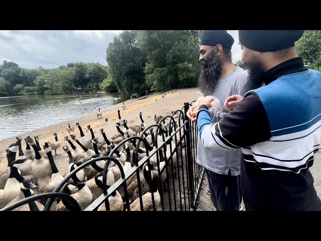 Ducks nu khan nu dita taan eh v aa gye 😅। Vlog 470 । UK TOUR 2023 । Bhai Gagandeep Singh