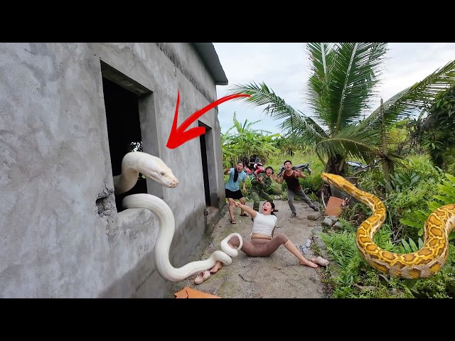 Brave soldiers used high-tech snake detectors to locate the giant python's nest. #snake #anaconda