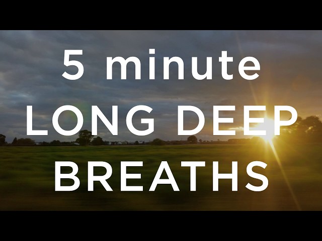 5 Minute Long Deep Breaths