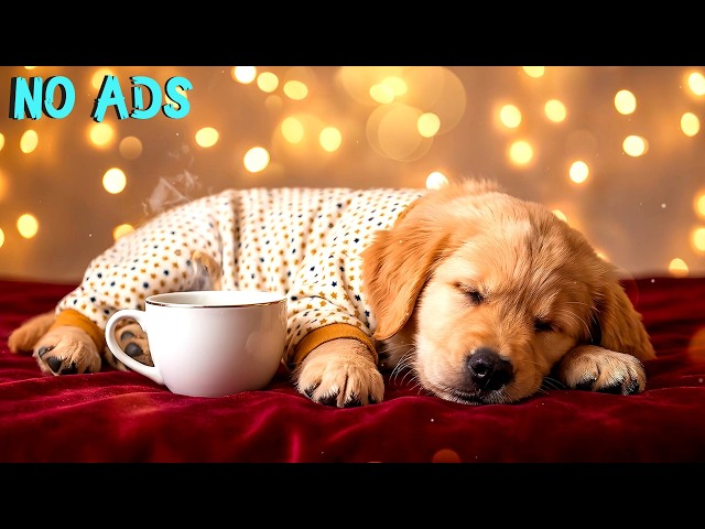 15 HOURS of Calming Music for Dogs 🌿 Deep Sleep Therapy Vibes 🐾 Cure Anxious Puppies Quickly