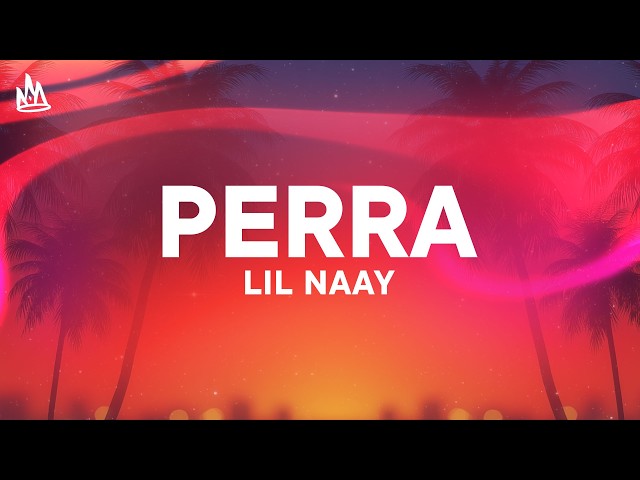 LIL NAAY - PERRA [Letra]