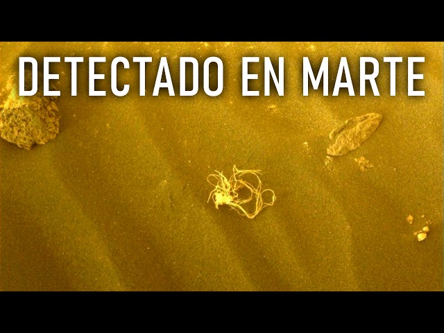 ¿Hay realmente solo rocas en Marte? | Rover Perseverance