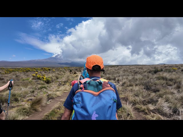 Our Kilimanjaro Trip 2025: Day 2 - Mti Mkubwa (Big Tree) Camp to Shira 1 Camp