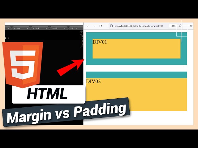 Difference Between Margin and Padding | HTML and CSS Tutorial