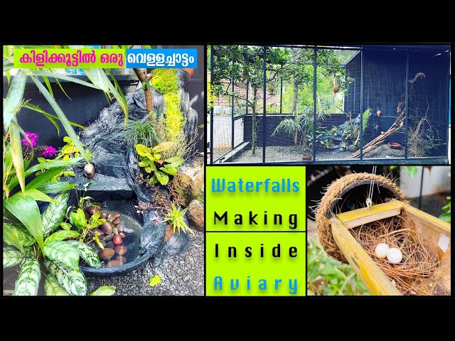 Waterfalls Making Inside Aviary I കിളിക്കൂട്ടിൽ ഒരു വെള്ളച്ചാട്ടം