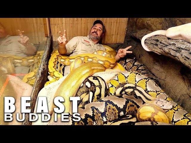 'Snake God' Wrestles 20ft Pythons | BEAST BUDDIES