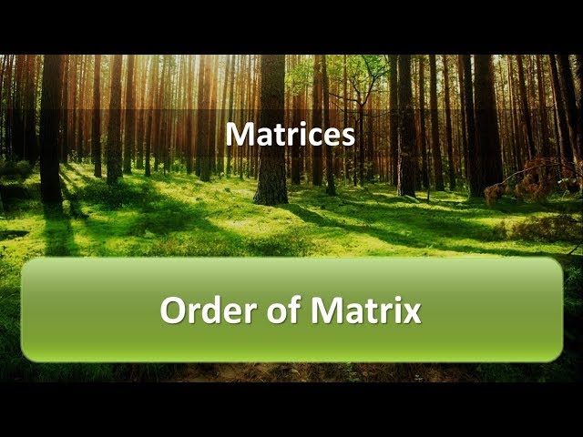 Order of Matrix Examples