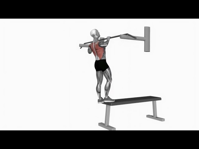 Bench Pull Ups - Proper Form & Technique [4K]