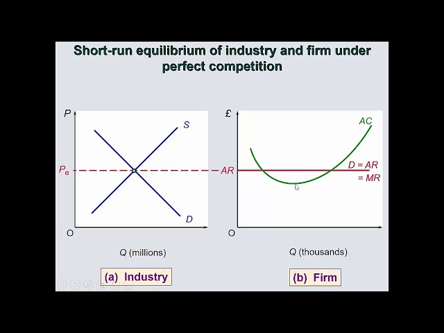 Perfect Competition