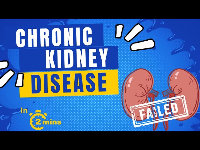 Chronic Kidney Disease | Causes and Clinical Manifestations - in 2 mins!