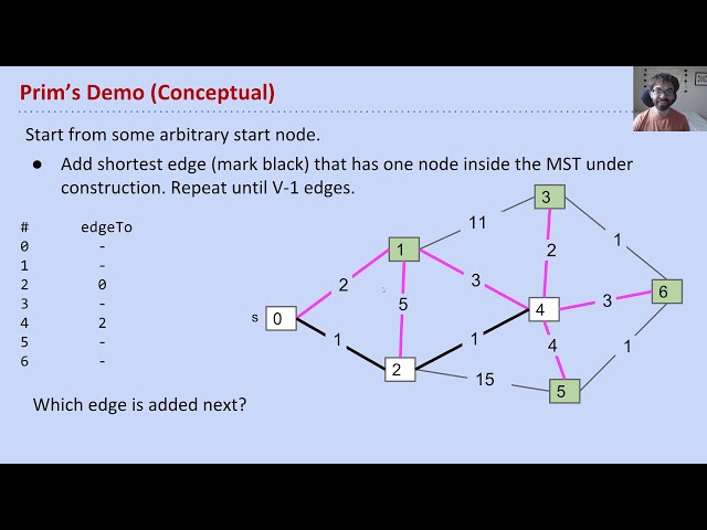 vid6 prims conceptually