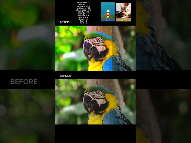 Cinematic Colour Grading on CapCut | Mobile Pro Tips