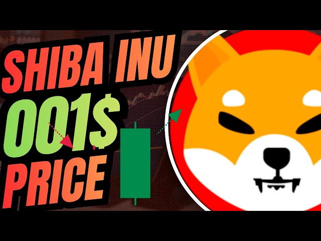 SHIBA INU 2026 BULL RUN: CAN SHIB DELETE 3 ZEROS? 🚀🔥