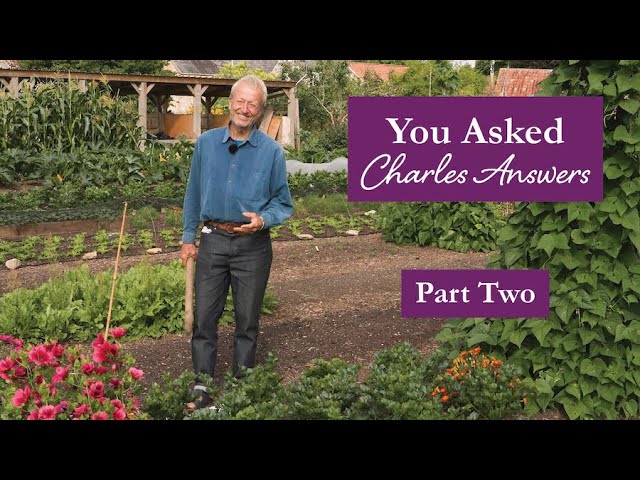 No Dig Q&A Part 2: Misconceptions, Tools, Compost & Community Gardening