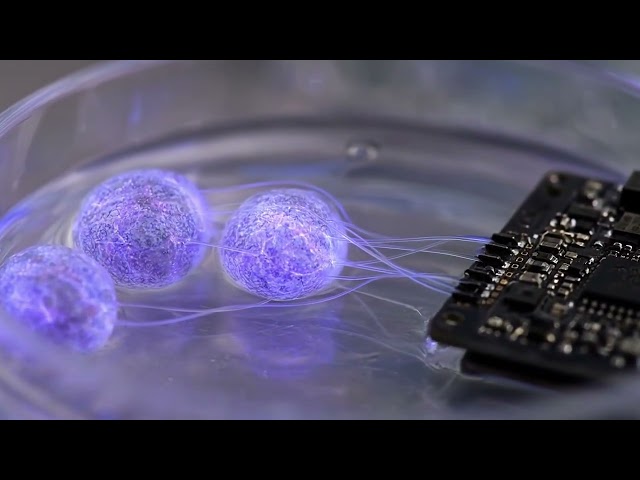 The Matrix is No Longer Sci-fi: The Discovery of The Bridge Between Biological & Mechanical #ai #ai 
