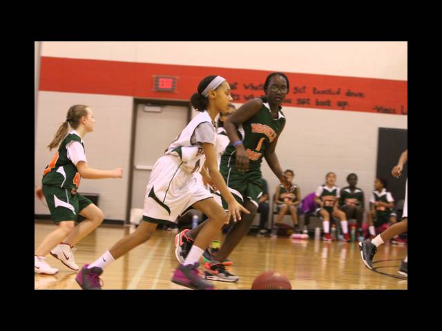 BPAA Basketball 2016