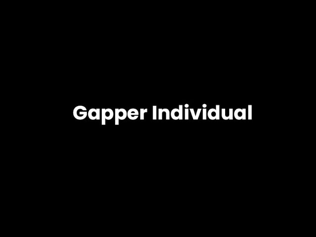 GAPPER INDIVIDUAL