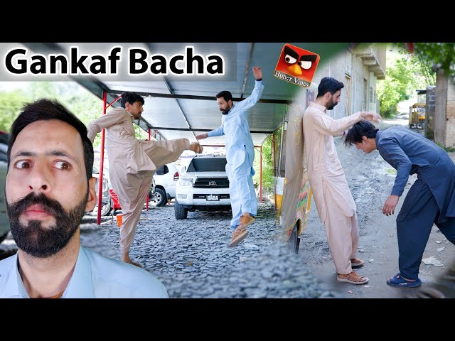 Gankaf Bacha | Buner Vines