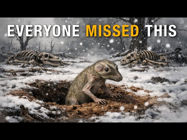 What REALLY Survived the Dinosaur Extinction