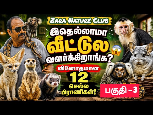வினோதமான செல்லப்பிராணிகள் பகுதி -3