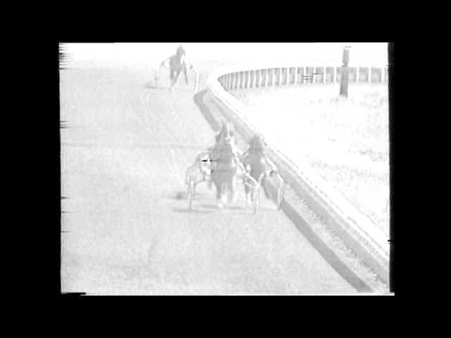 1987 Springfield State Fair SPOTLIGHT LOBELL Walt Paisley Review Stakes