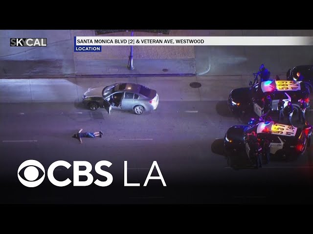 Suspect wanted for assaulting LAPD officer arrested after high-speed chase