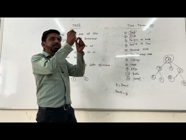 Introduction To Tree Data Structure