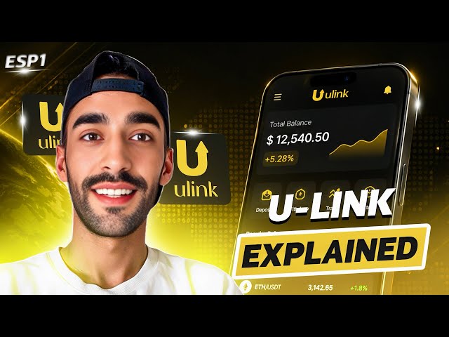 App Review – Explaining U-Link, its features, and the user interface.