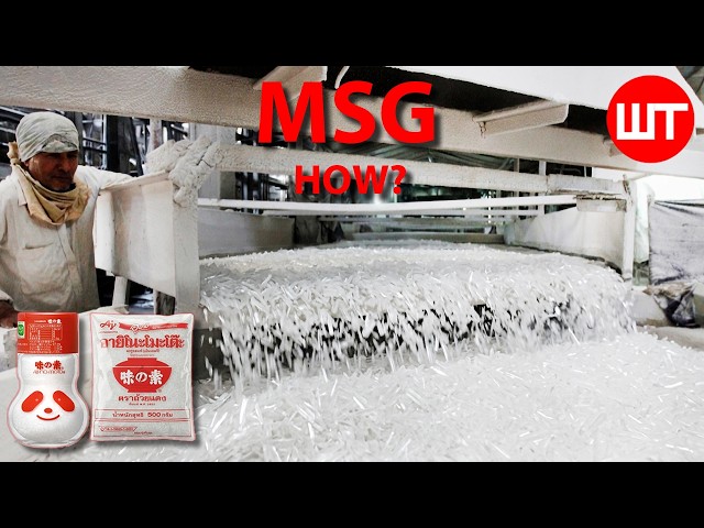 MSG Is NOT What You Think! MSG Production ➤ Food Factory