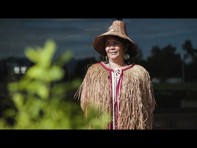 Why cedar is sacred to Pacific Northwest tribes