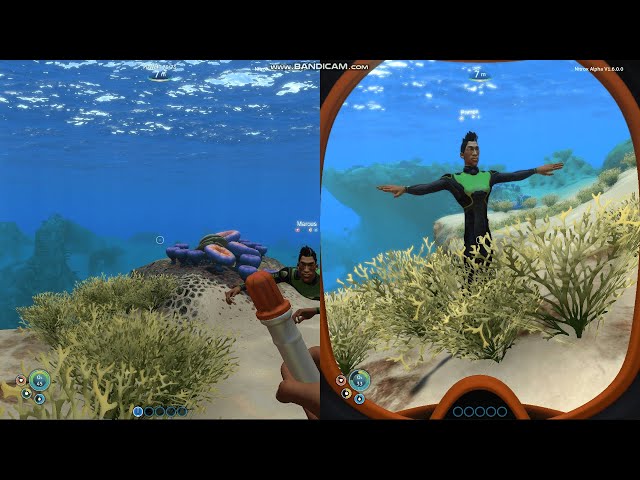 How to play Split Screen in Subnautica PC